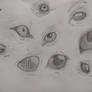 eye studies