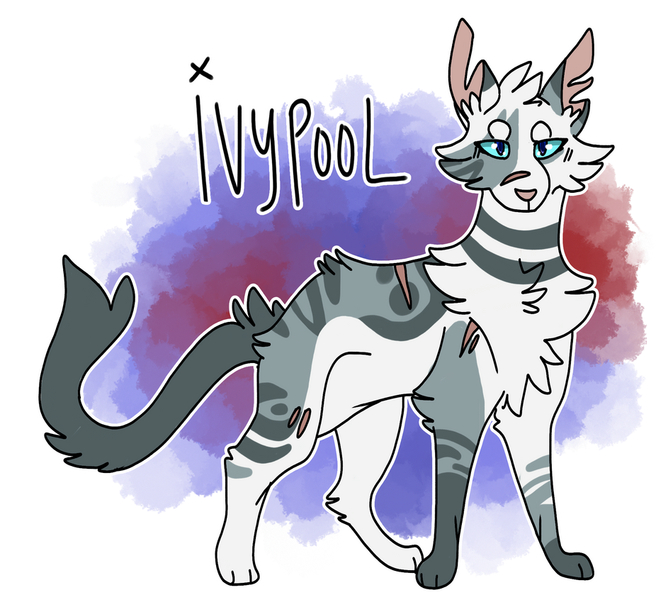 Ivypool Original ivypool 2020 by hawkthespork on DeviantArt