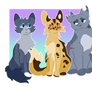 a riverclan trio