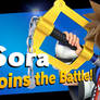 I got the final dlc sora in smash bros