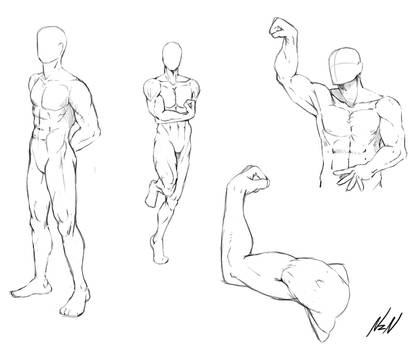 Featured image of post View 24 Muscular Male Body Drawing Reference