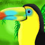 Keel-billed-toucan