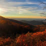Morning has broken