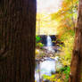 Dam View