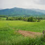 Cades Cove, Tennessee