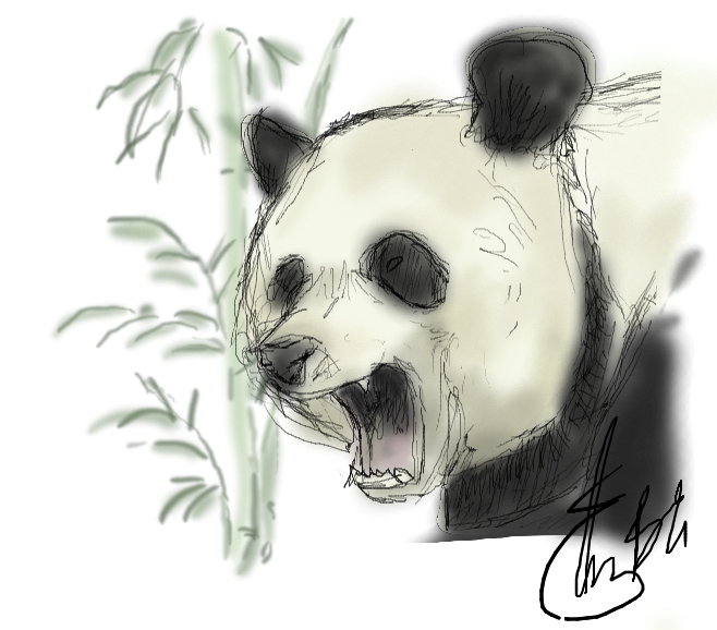 Cavete Panda