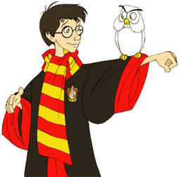 Harry Potter and Hedwig