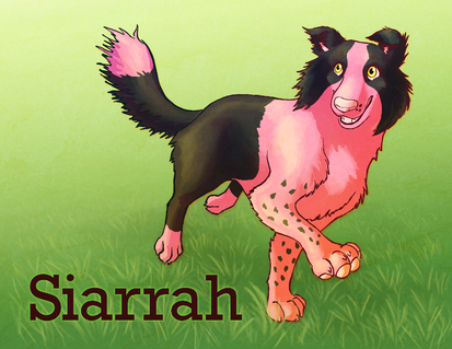 Siarrah badge