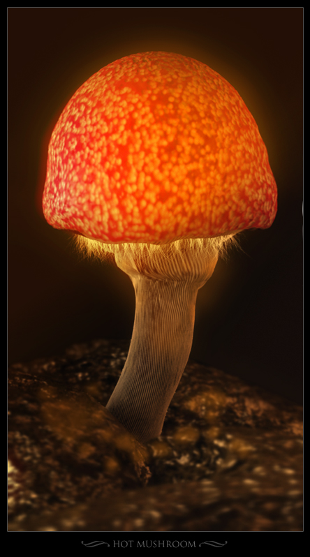 Hot Mushroom