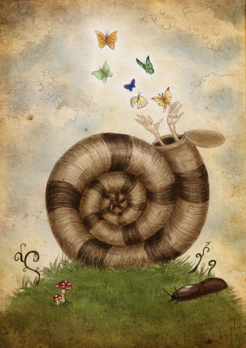 Shadria Deviantart Snail Shell colored version by Shandria on DeviantArt