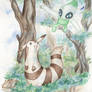 Furret and Celebi