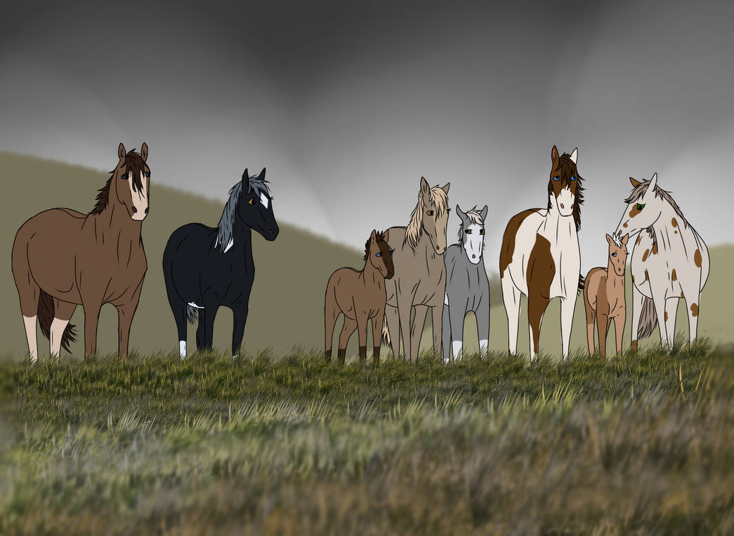 Pryor Herd October 2024 by IktomiSpeaks on DeviantArt