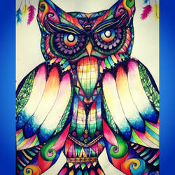 Colourful Owl