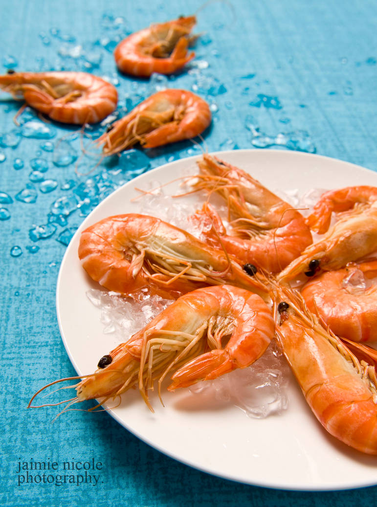 prawns. by paradoxphotography prawns. by paradoxphotography