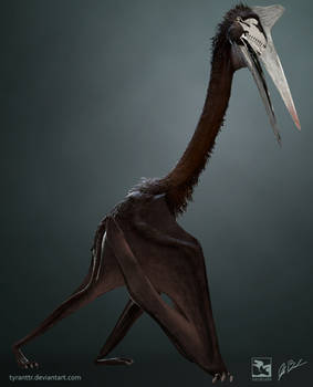 Quetzalcoatlus Sp. - Saurian