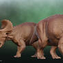 Triceratops Sub-Adult and Adult - Saurian