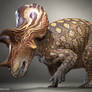 Triceratops Prorsus - Saurian