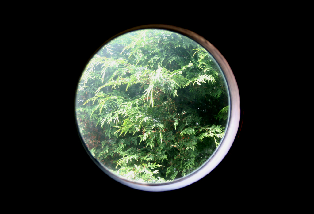 Porthole to the Sea of Green