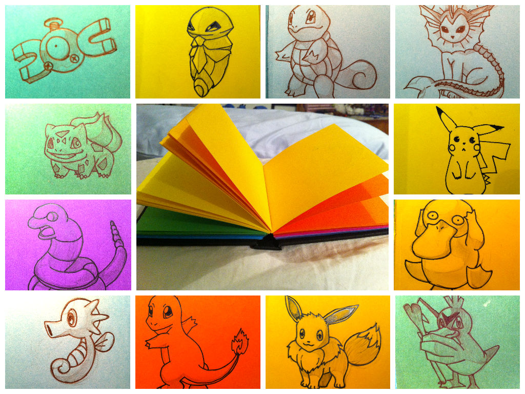 Pokemon book