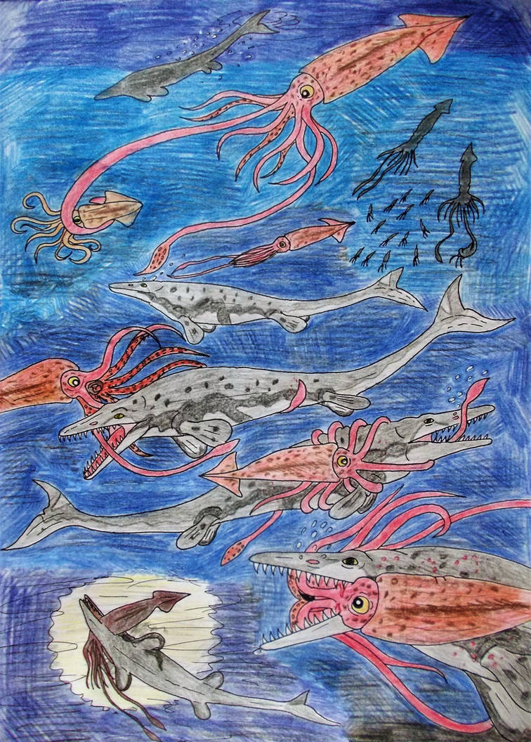 Cretaceous Kraken Late Cretaceous Frequently Asked Questions