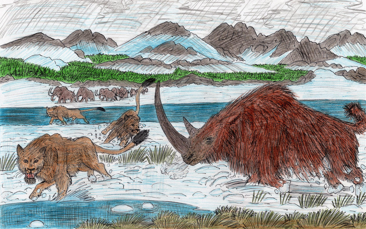 Rhino Rampage by ThalassoAtrox on DeviantArt