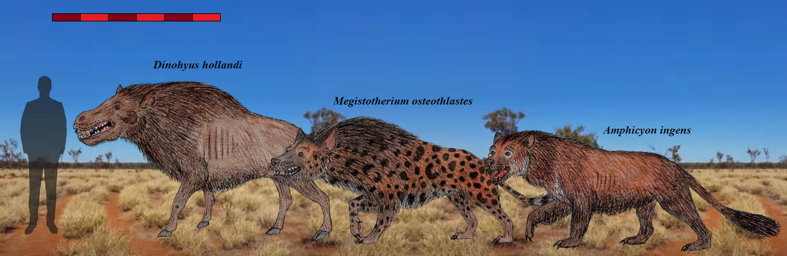 Explore the Best Miocene Art | DeviantArt