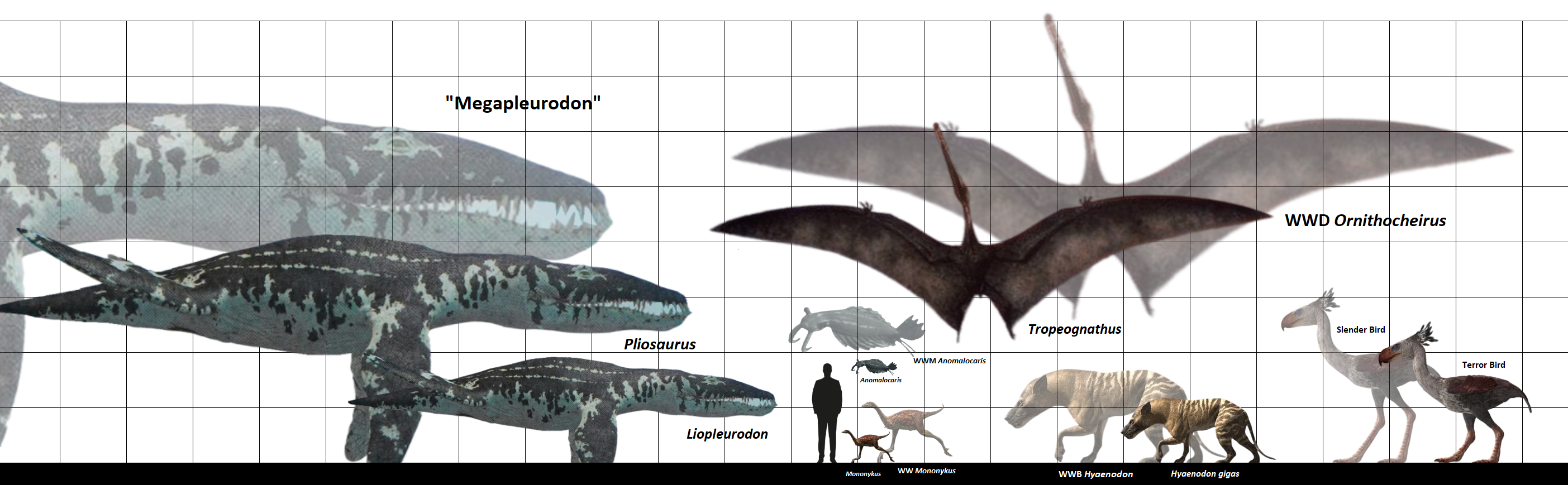 Beelemodon Size Liopleurodon Size Comparison