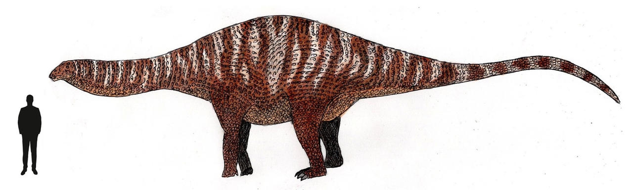 Transparent Limaysaurus Land of Giants: Limaysaurus tessonei by ThalassoAtrox on DeviantArt