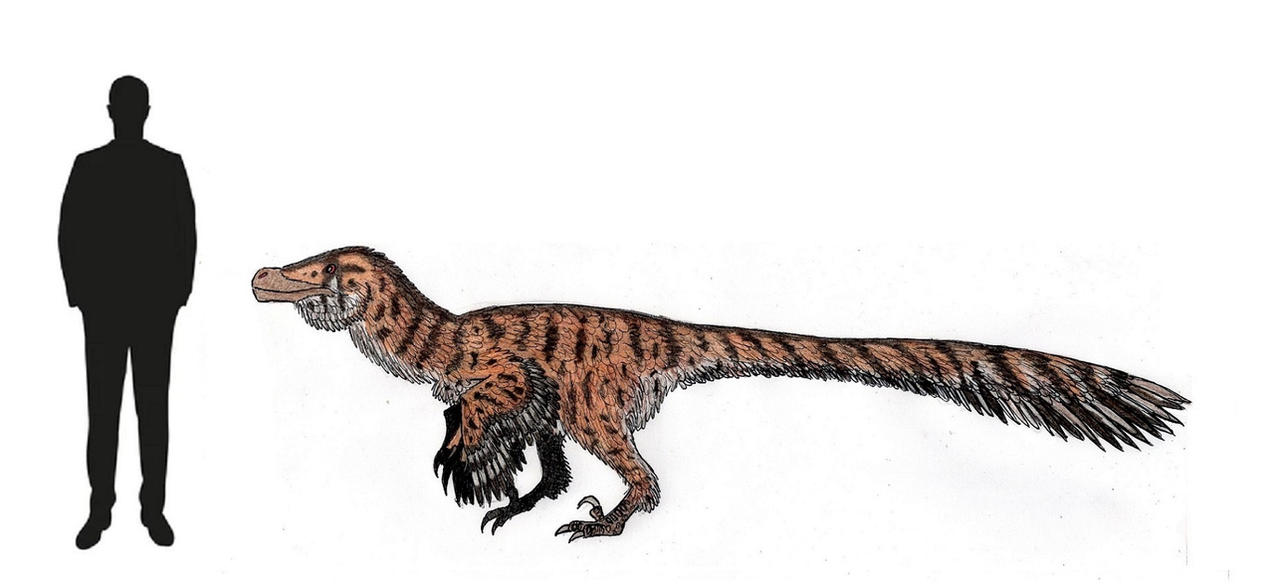Agasaurus The Giant Claw: Adasaurus mongoliensis by ThalassoAtrox on DeviantArt