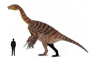 The Giant Claw: Therizinosaurus cheloniformis