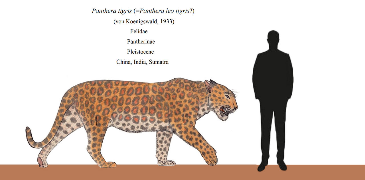 Pleistocene Mega Leopard by ThalassoAtrox on DeviantArt