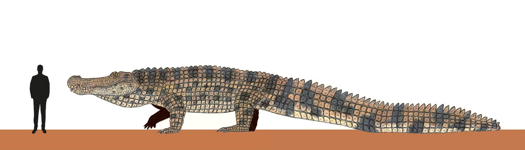 March of the Dinosaurs: Deinosuchus hatcheri