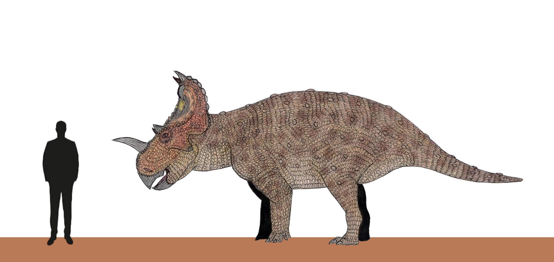 Contour Saurus Dinosaur King Centrosaurus The Dinosaur Fan Is A Dinosaur Card