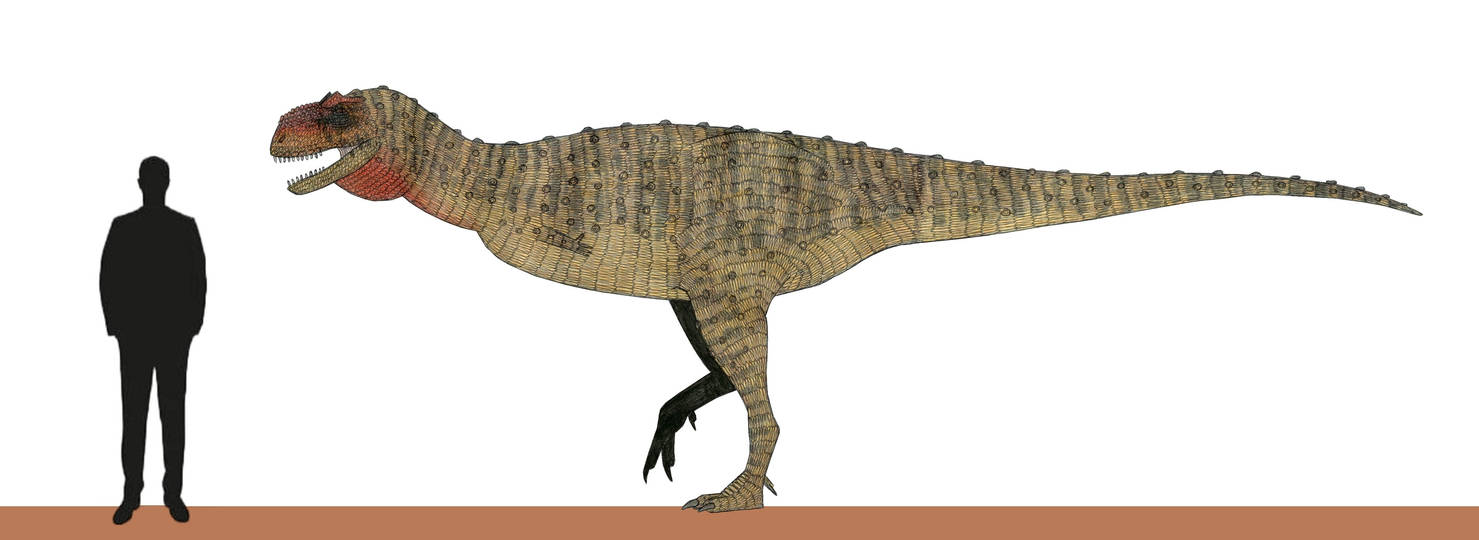 Alpha's Egg: Viavenator exxoni by ThalassoAtrox on DeviantArt