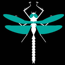 Graphic dragonfly
