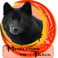 MetalStorm