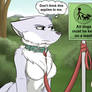Leash Law