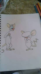 pinky and the brain