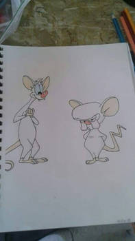 pinky and the brain