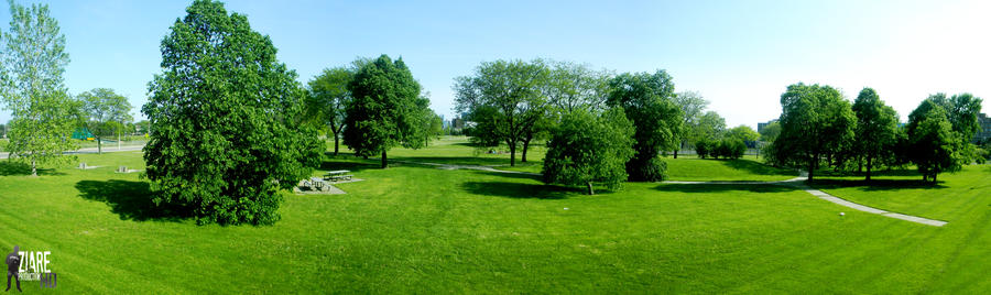 Green landscape