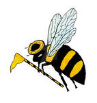 Marshal Bumblebee