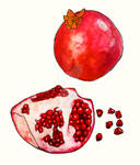 Botanical - Pomegranate