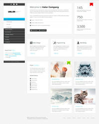 Valor - Responsive WordPress Theme