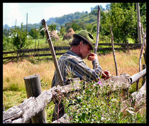 Stories of Romania VII