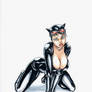 CATWOMAN by HM1