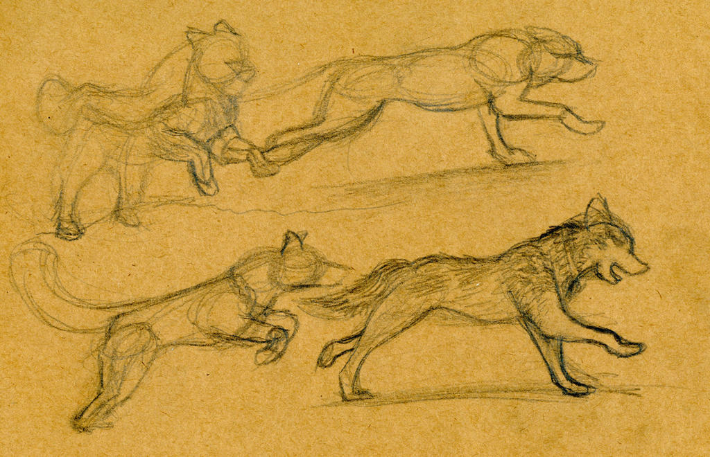 Animal Dsign Animal Design 16 by bjg211 on DeviantArt
