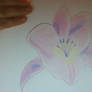 Ochid Flower