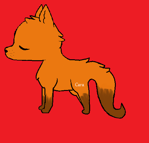 Random Fox?