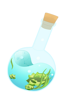 Succulent Bottle