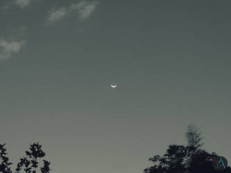 Little Moon